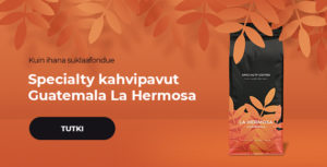 Specialty kahvipavut Guatemala La Hermosa