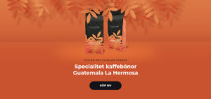 Specialitet kaffebönor Guatemala La Hermosa
